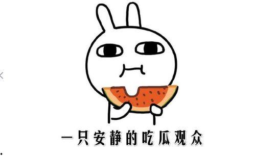 抖音网红瓜怎么吃,揭秘美味瓜果的多样吃法